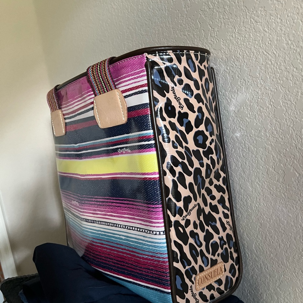 Consuela Classic Tote - Serape & Jag